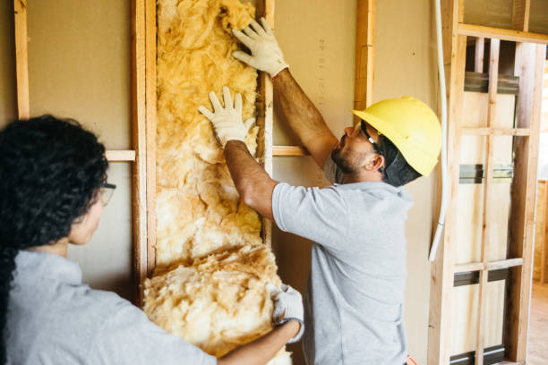 Best Insulation Contractor Near Me  in Inverness, CO