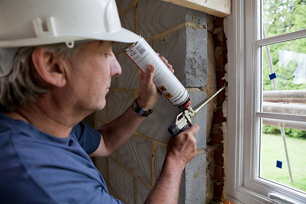 Best Insulation Repair Services  in Inverness, CO